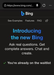 Screenshot of Bing